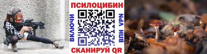 Псилоцибиновые грибы Psilocybe  Купить где  Карабулак 
